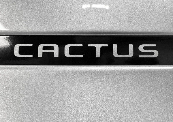 Citroen C4 Cactus cena 61100 przebieg: 90000, rok produkcji 2019 z Józefów małe 781